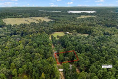 Waterfront and Waterview Lots - Lake O' the Pines. Looking for - photo 21