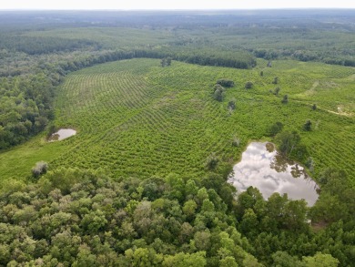 (private lake, pond, coastal) Acreage For Sale in Neely Mississippi