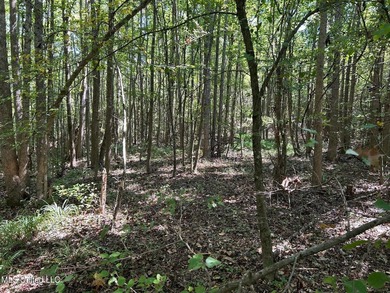This 81+/- acre recreational tract in Holmes County offers the - photo 22