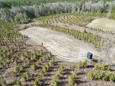 A large, gorgeous, and contiguous tract in the Avera community - photo 3