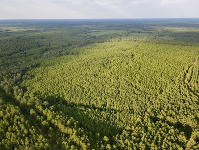 A large, gorgeous, and contiguous tract in the Avera community - photo 4