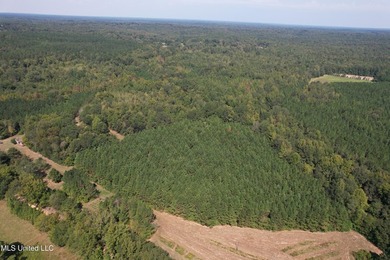 This 81+/- acre recreational tract in Holmes County offers the - photo 25