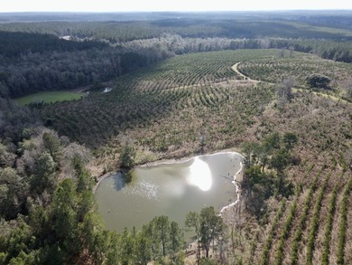 A large, gorgeous, and contiguous tract in the Avera community - photo 5