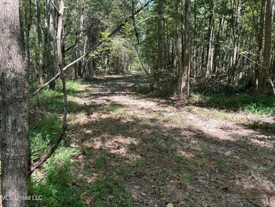 This 81+/- acre recreational tract in Holmes County offers the - photo 27