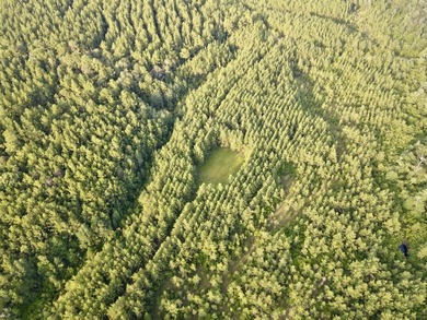 A large, gorgeous, and contiguous tract in the Avera community - photo 7