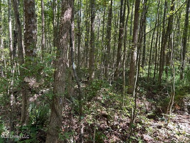 This 81+/- acre recreational tract in Holmes County offers the - photo 28