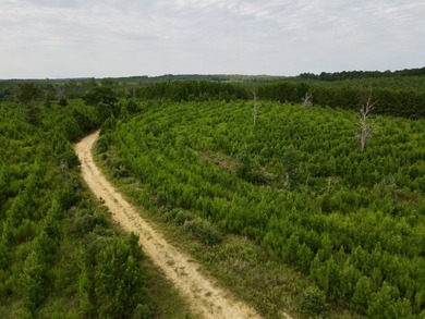 A large, gorgeous, and contiguous tract in the Avera community - photo 8