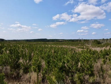 A large, gorgeous, and contiguous tract in the Avera community - photo 9