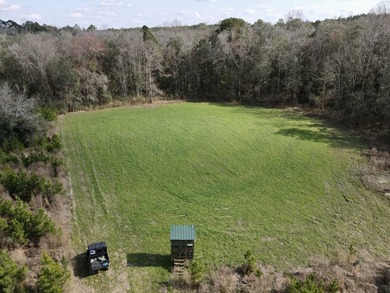 A large, gorgeous, and contiguous tract in the Avera community - photo 10