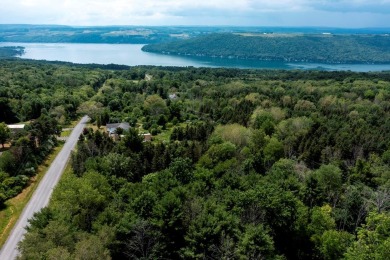 Keuka Lake Homes for Sale Real Estate Lakefront Property NY