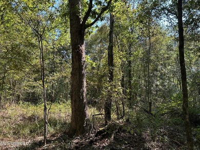 This 81+/- acre recreational tract in Holmes County offers the - photo 32