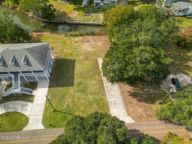 Picture a beautiful waterfront lot on a tranquil bayou, walking - photo 3