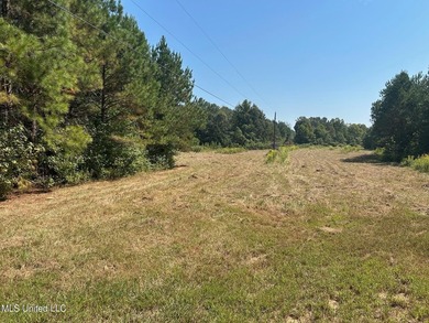 This 81+/- acre recreational tract in Holmes County offers the - photo 35