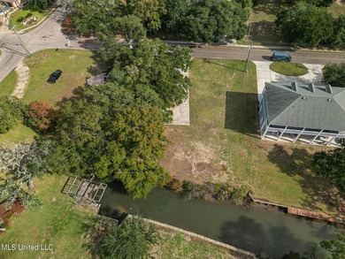 Picture a beautiful waterfront lot on a tranquil bayou, walking - photo 6