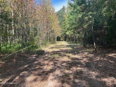 This 81+/- acre recreational tract in Holmes County offers the - photo 37
