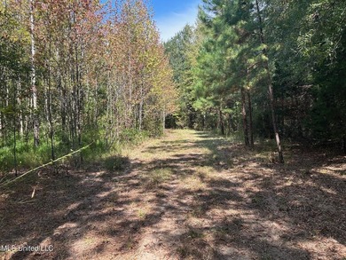 This 81+/- acre recreational tract in Holmes County offers the - photo 38