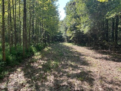 This 81+/- acre recreational tract in Holmes County offers the - photo 39