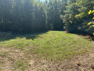 This 81+/- acre recreational tract in Holmes County offers the - photo 40