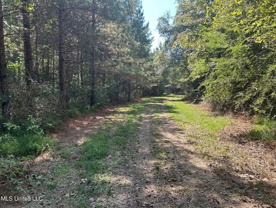 This 81+/- acre recreational tract in Holmes County offers the - photo 41