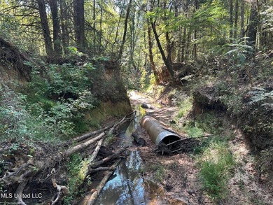 This 81+/- acre recreational tract in Holmes County offers the - photo 45