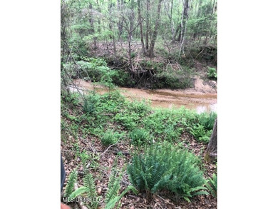 This 81+/- acre recreational tract in Holmes County offers the - photo 46