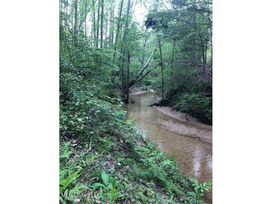 This 81+/- acre recreational tract in Holmes County offers the - photo 47