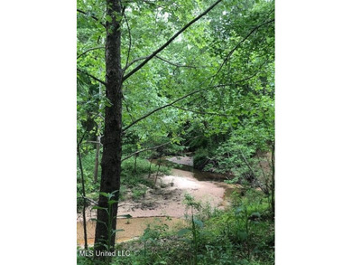 This 81+/- acre recreational tract in Holmes County offers the - photo 50