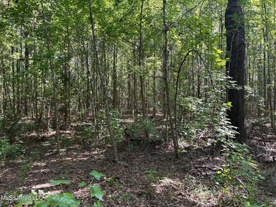 This 81+/- acre recreational tract in Holmes County offers the - photo 51