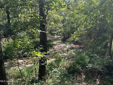 This 81+/- acre recreational tract in Holmes County offers the - photo 52