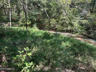 This 81+/- acre recreational tract in Holmes County offers the - photo 53