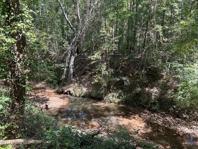 This 81+/- acre recreational tract in Holmes County offers the - photo 54