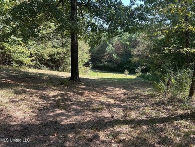This 81+/- acre recreational tract in Holmes County offers the - photo 56