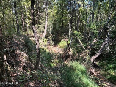 This 81+/- acre recreational tract in Holmes County offers the - photo 57
