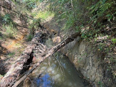 This 81+/- acre recreational tract in Holmes County offers the - photo 58