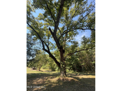 This 81+/- acre recreational tract in Holmes County offers the - photo 59
