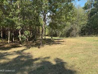 This 81+/- acre recreational tract in Holmes County offers the - photo 60