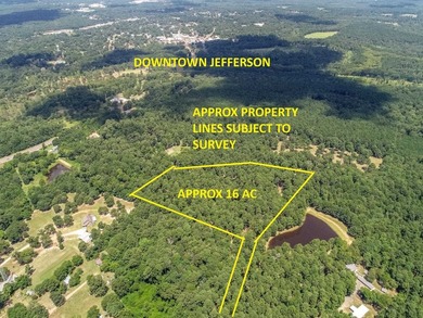 ABSOLUTELY BEAUTIFUL 16.5 ACRES JUST OUTSIDE THE CITY LIMITS OF - photo 1