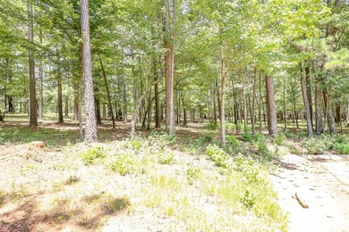 ABSOLUTELY BEAUTIFUL 16.5 ACRES JUST OUTSIDE THE CITY LIMITS OF - photo 3
