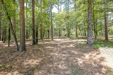 ABSOLUTELY BEAUTIFUL 16.5 ACRES JUST OUTSIDE THE CITY LIMITS OF - photo 4