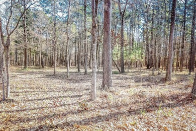 ABSOLUTELY BEAUTIFUL 16.5 ACRES JUST OUTSIDE THE CITY LIMITS OF - photo 5