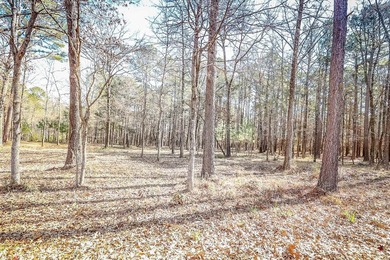 ABSOLUTELY BEAUTIFUL 16.5 ACRES JUST OUTSIDE THE CITY LIMITS OF - photo 6