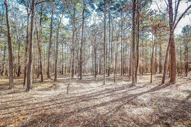 ABSOLUTELY BEAUTIFUL 16.5 ACRES JUST OUTSIDE THE CITY LIMITS OF - photo 8