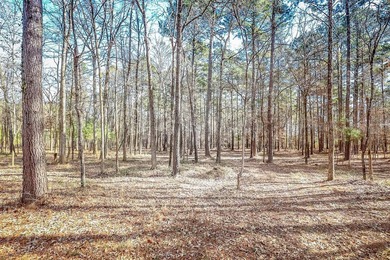 ABSOLUTELY BEAUTIFUL 16.5 ACRES JUST OUTSIDE THE CITY LIMITS OF - photo 9