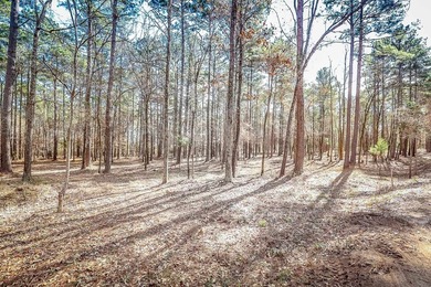 ABSOLUTELY BEAUTIFUL 16.5 ACRES JUST OUTSIDE THE CITY LIMITS OF - photo 10