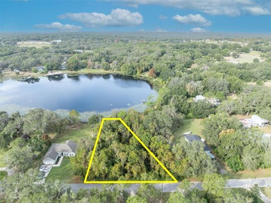 (private lake, pond, creek) Lot For Sale in Fruitland Park Florida