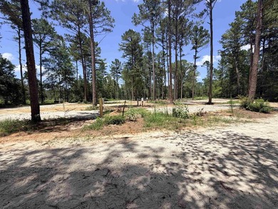 (private lake, pond, coastal) Lot For Sale in Palestine Texas