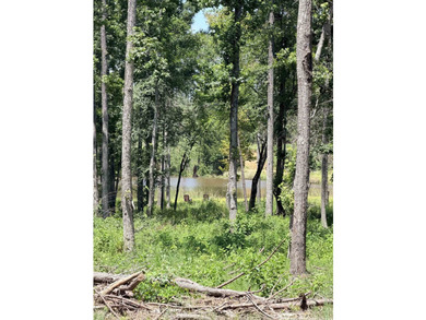 Additional listing photo 3