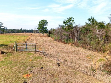 Located in Sandy Hook, this property offers the perfect - photo 19
