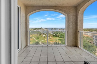 Spectacular Downtown St. Pete Condo with Mesmerizing Waterfront - photo 20