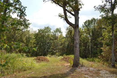 Lake Acreage For Sale in Foristell, Missouri